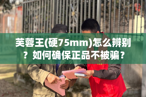芙蓉王(硬75mm)怎么辨别？如何确保正品不被骗？